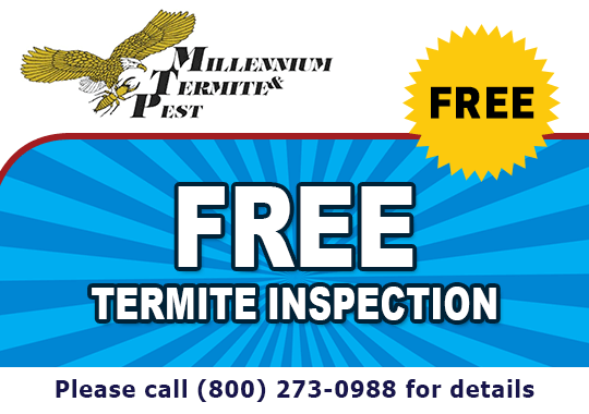 free termite
